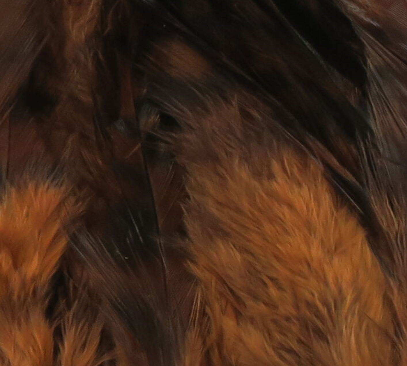 Strung Grizzly Variant Saddle Hackle