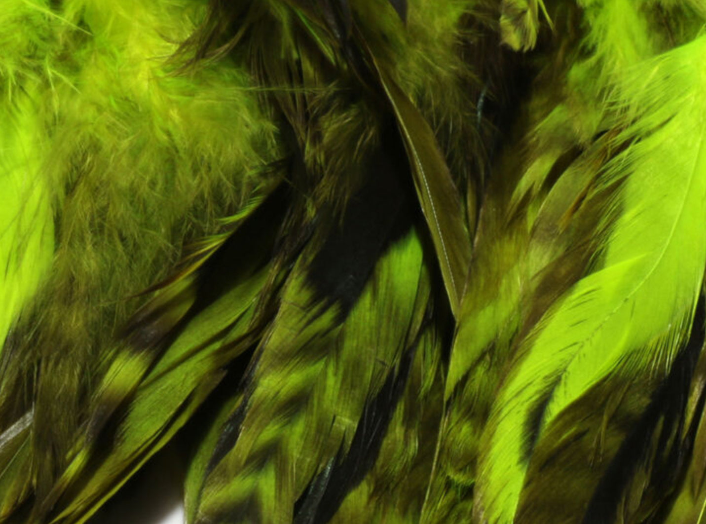 Barred VarianT Schlappen 5-7"