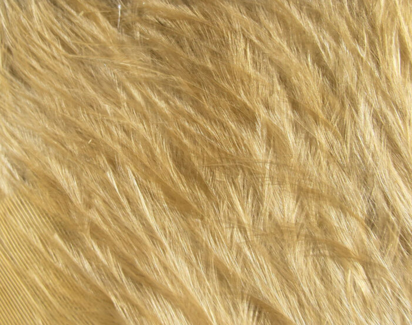 Wooly Bugger Marabou