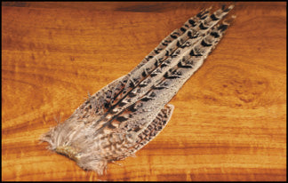 Ringneck Hen Pheasant Tail Clump