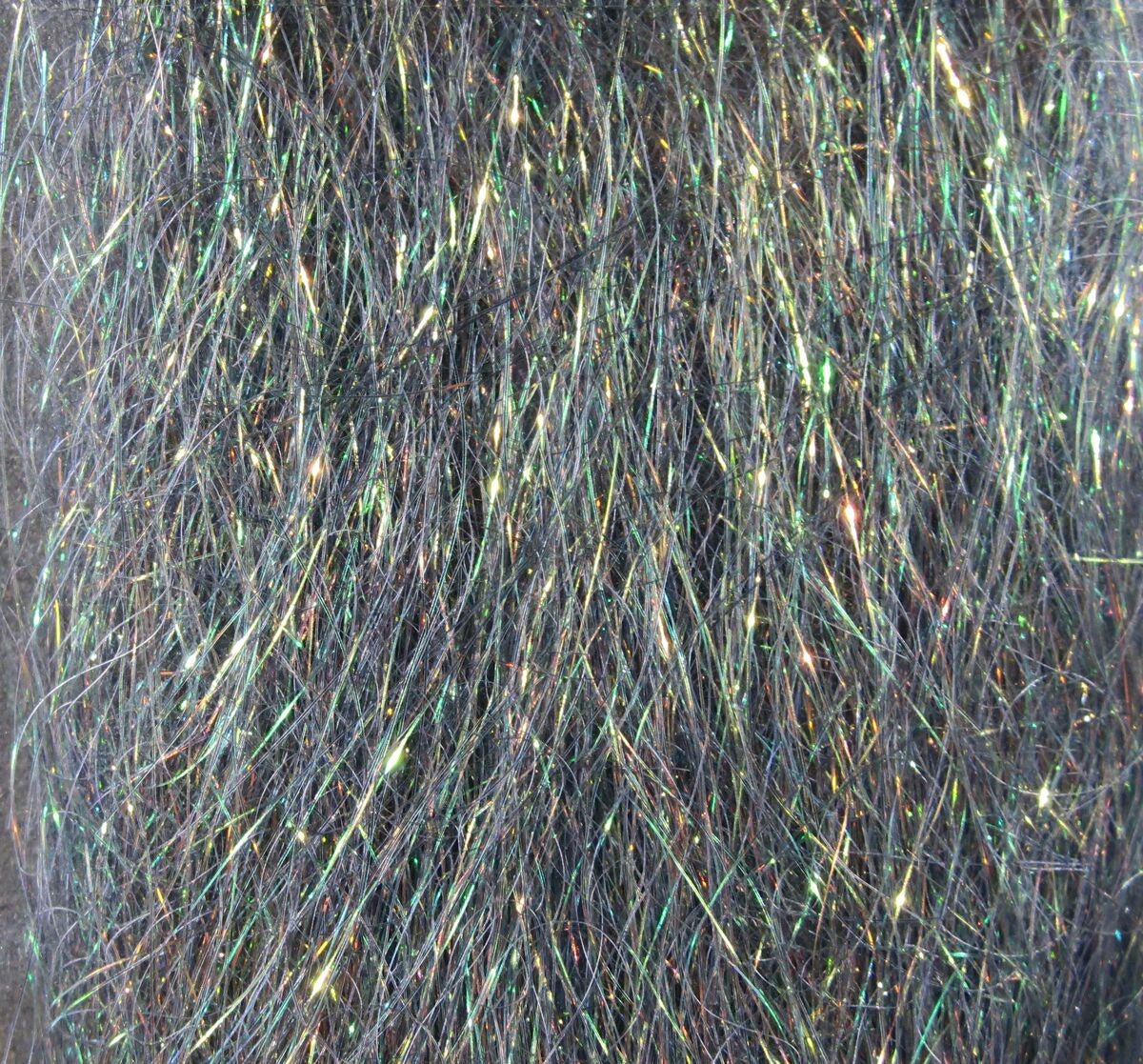 Shiner Peacock