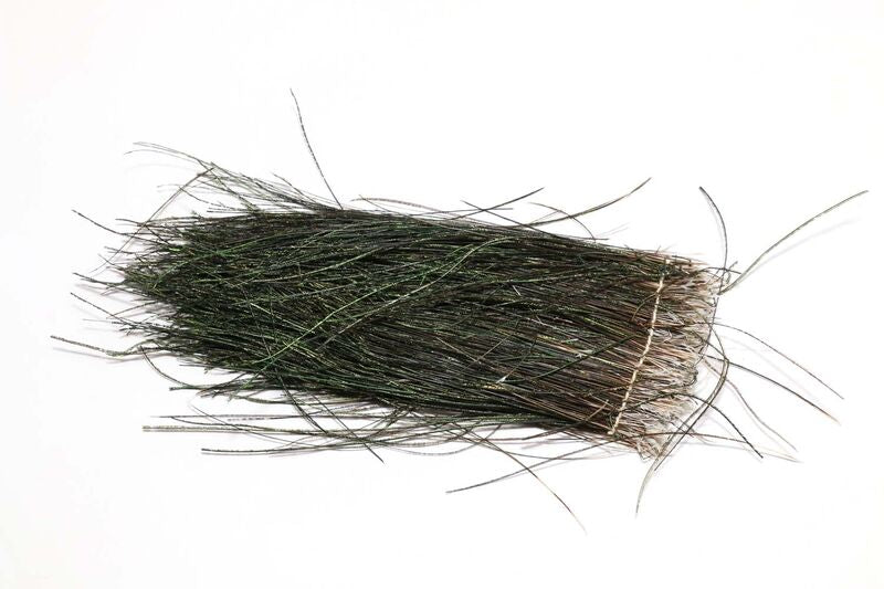 Strung Peacock Herl 8-10"