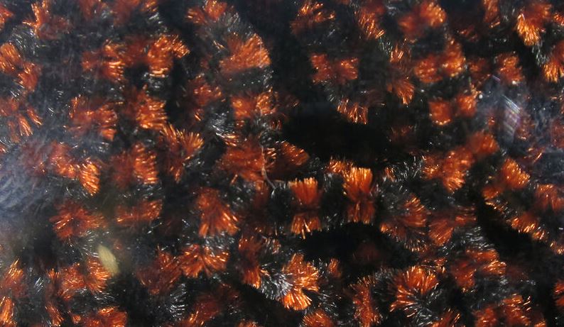 Fly Fish Food's Small Stonefly Chenille
