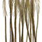 Whiting 100 Pack