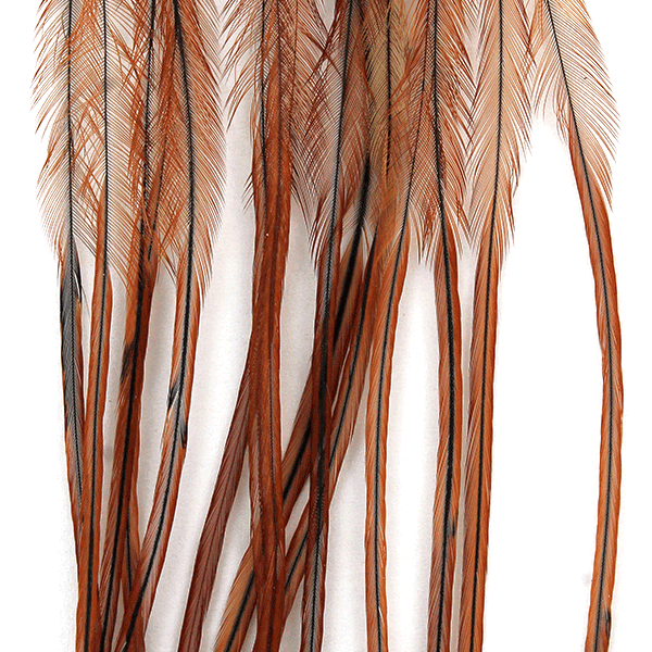 Whiting 100 Pack