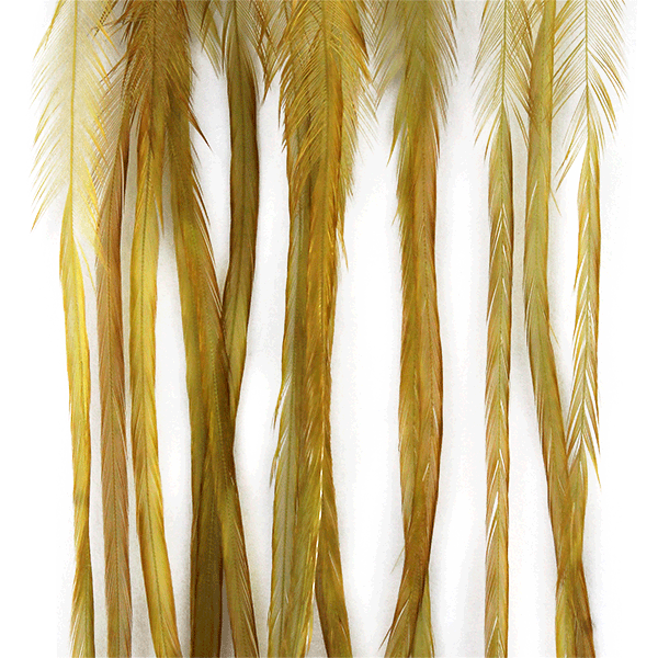 Whiting 100 Pack