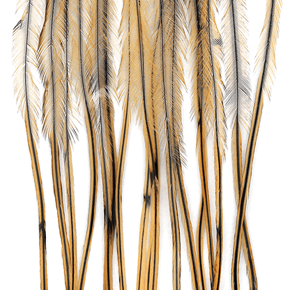 Whiting 100 Pack