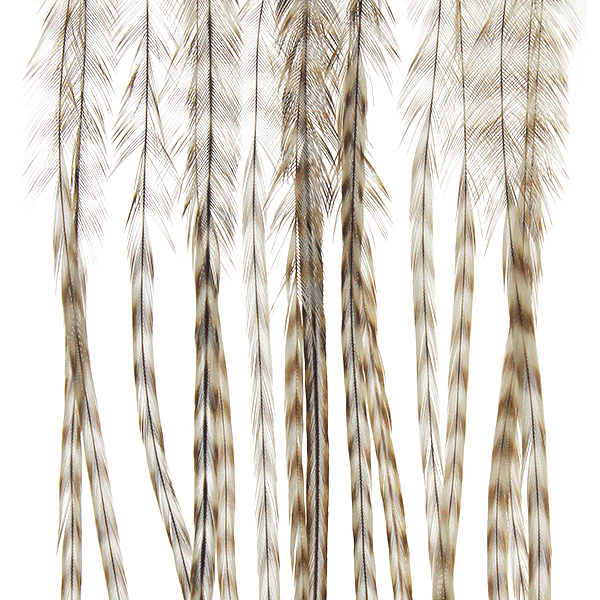 Whiting 100 Pack