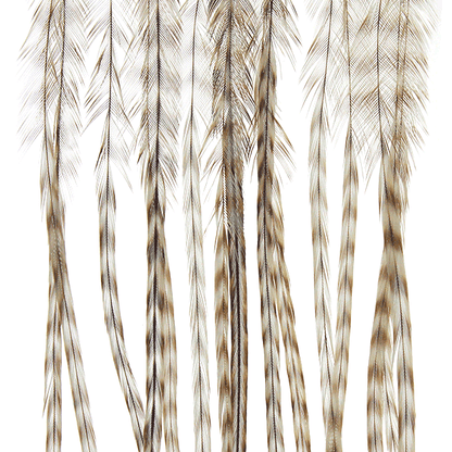 Whiting 100 Pack