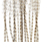 Whiting 100 Pack