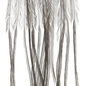 Whiting 100 Pack