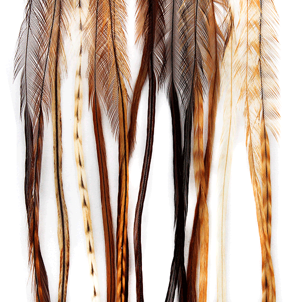 Whiting 100 Pack