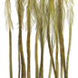 Whiting 100 Pack