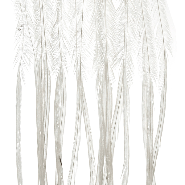 Whiting 100 Pack