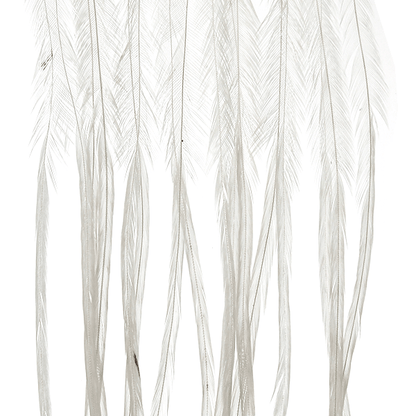 Whiting 100 Pack