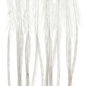 Whiting 100 Pack