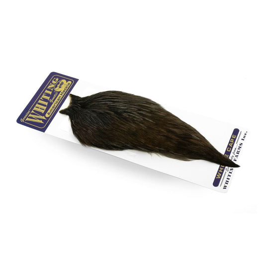 American Rooster Cape Whiting