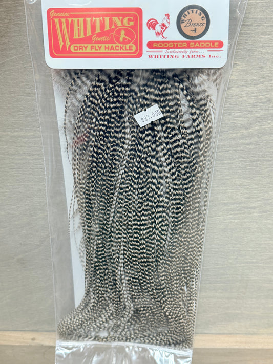 Whiting Bronze Saddle