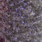 EggStatic Egg Fritz 8mm