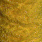 EggStatic Egg Fritz 8mm