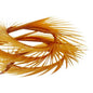 Natural Range Goose Biots
