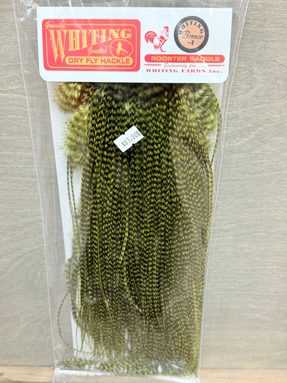 Whiting Bronze Saddle