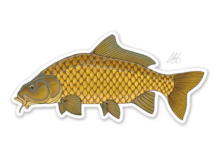 Casey Underwood Artwork