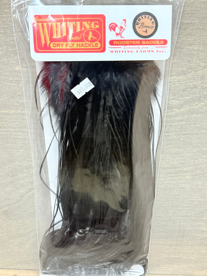 Whiting Bronze Saddle