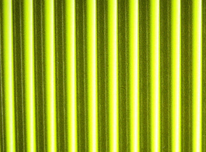 Tapered Synthetic Quill