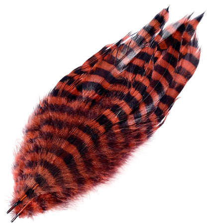 Barred Schlappen