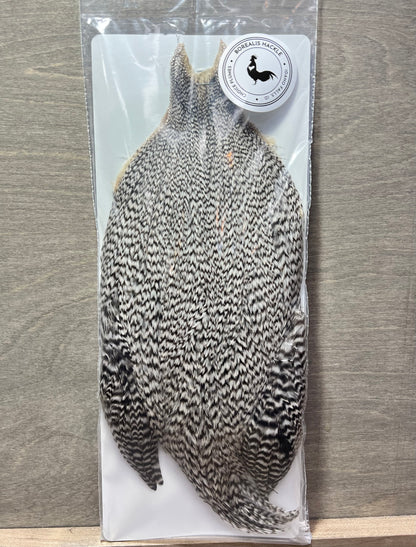 Borealis Hackle - Full Cape Grade 1