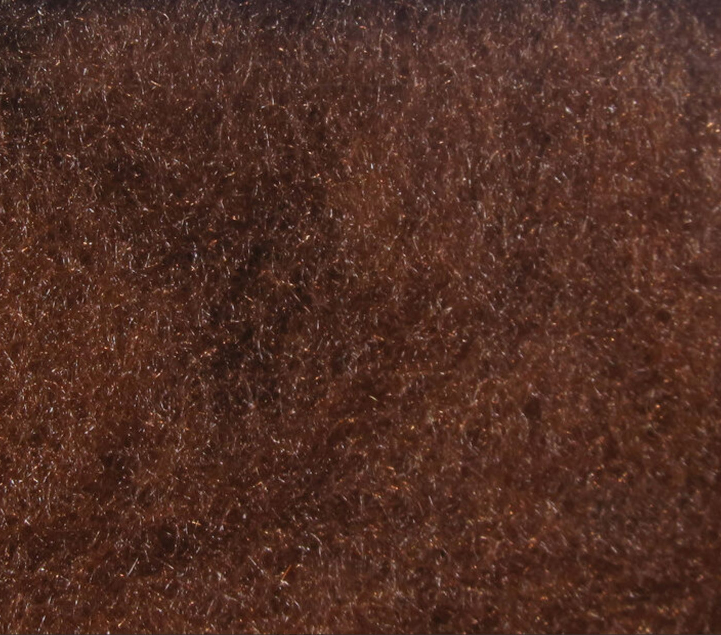 Super Fine Dry Fly Dub