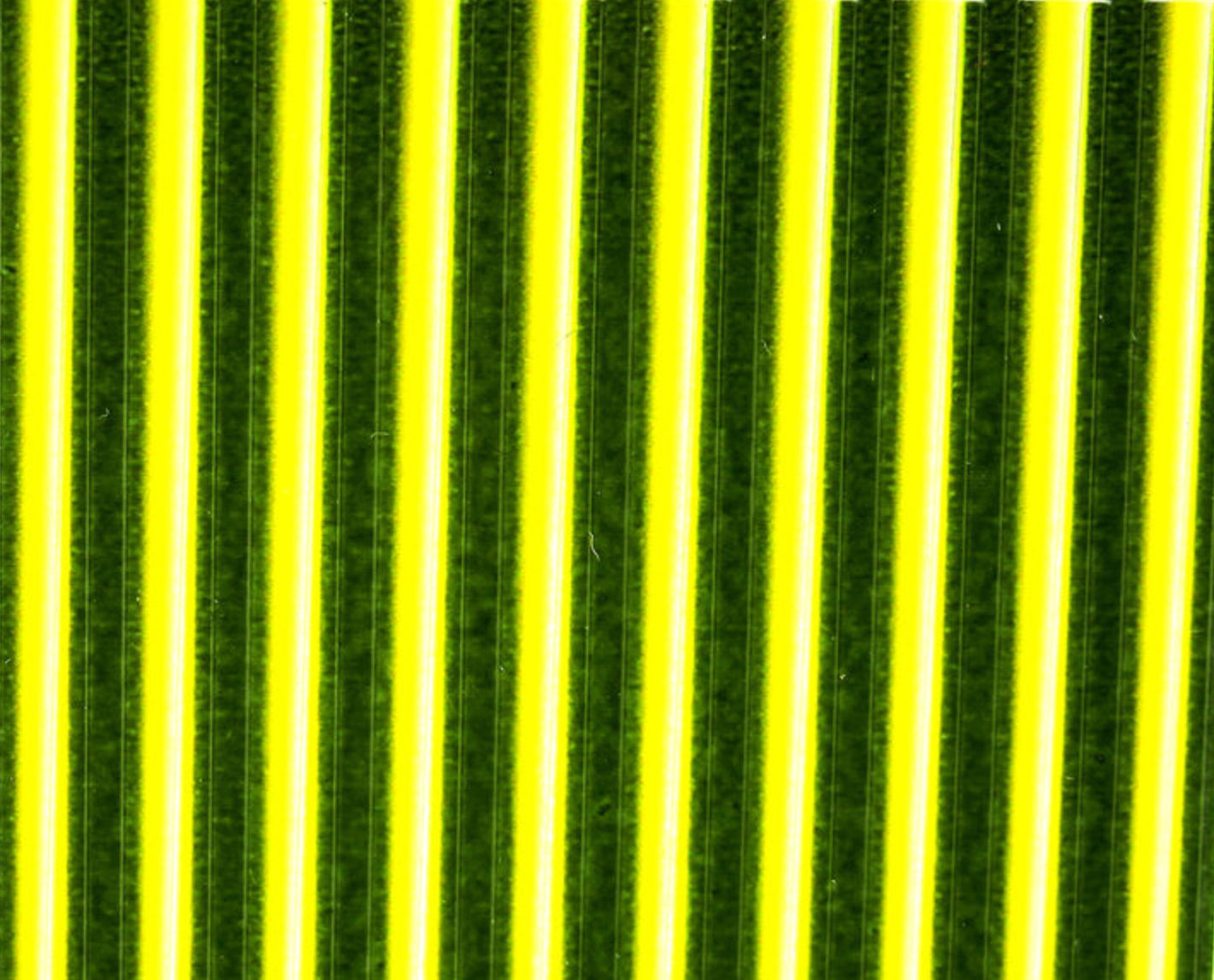 Tapered Synthetic Quill