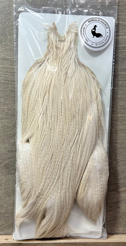 Borealis Hackle - Full Cape Grade 1