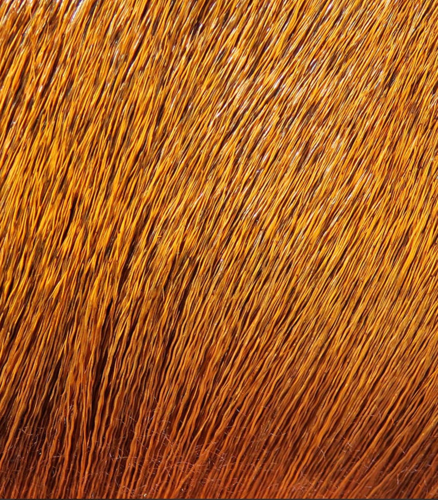 Dyed Deer Body Hair