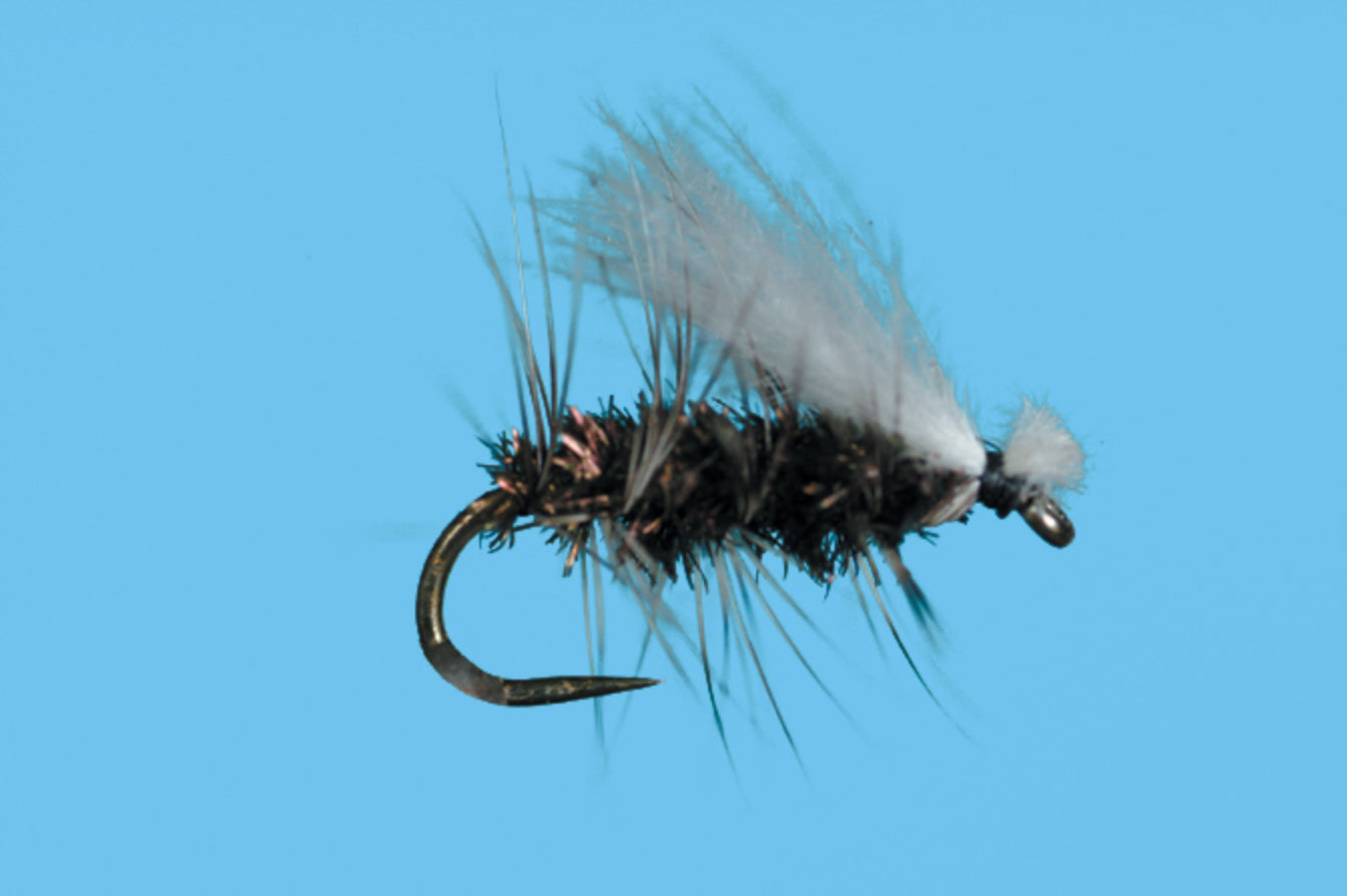 CDC Cluster Midge