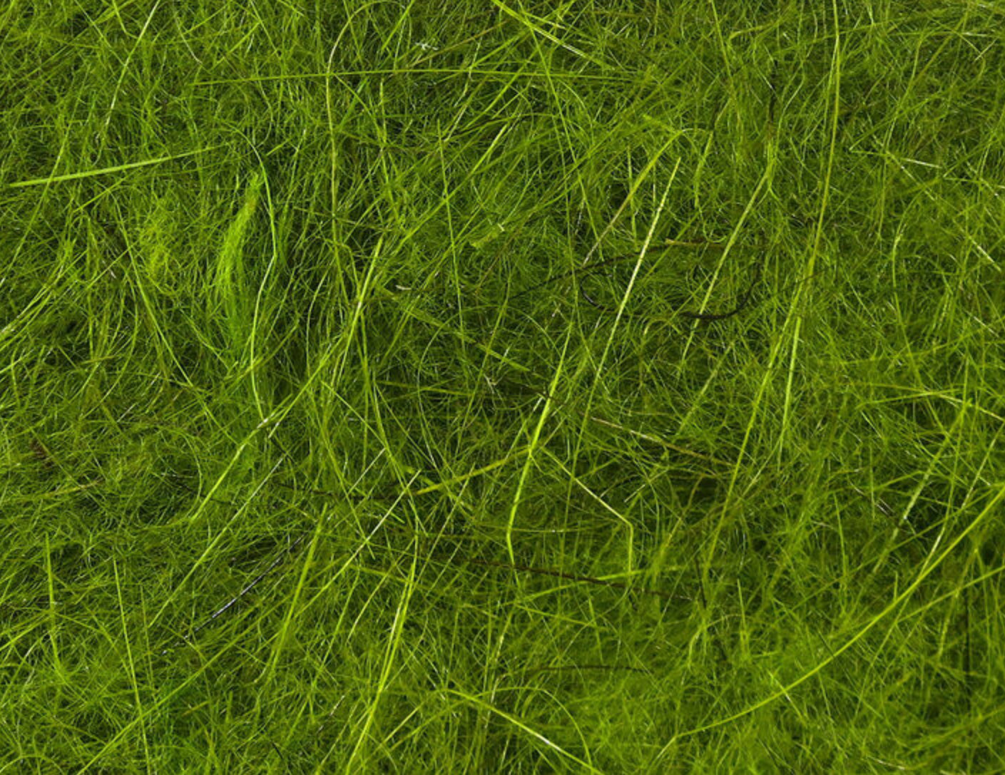 Hareline Dubbin