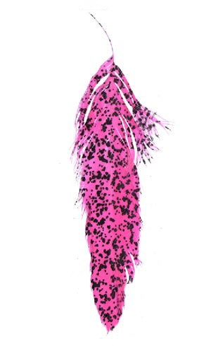 Mottled Schlappen