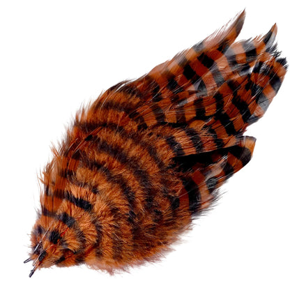 Barred Schlappen