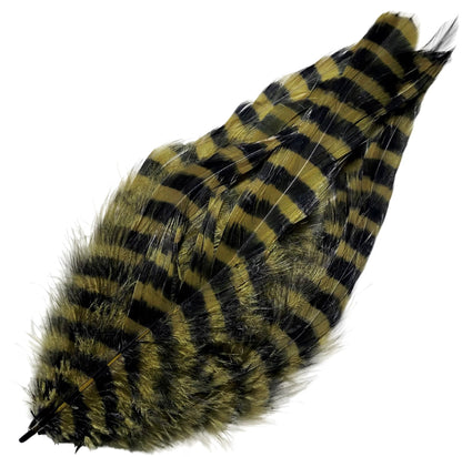 Barred Schlappen