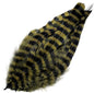 Barred Schlappen