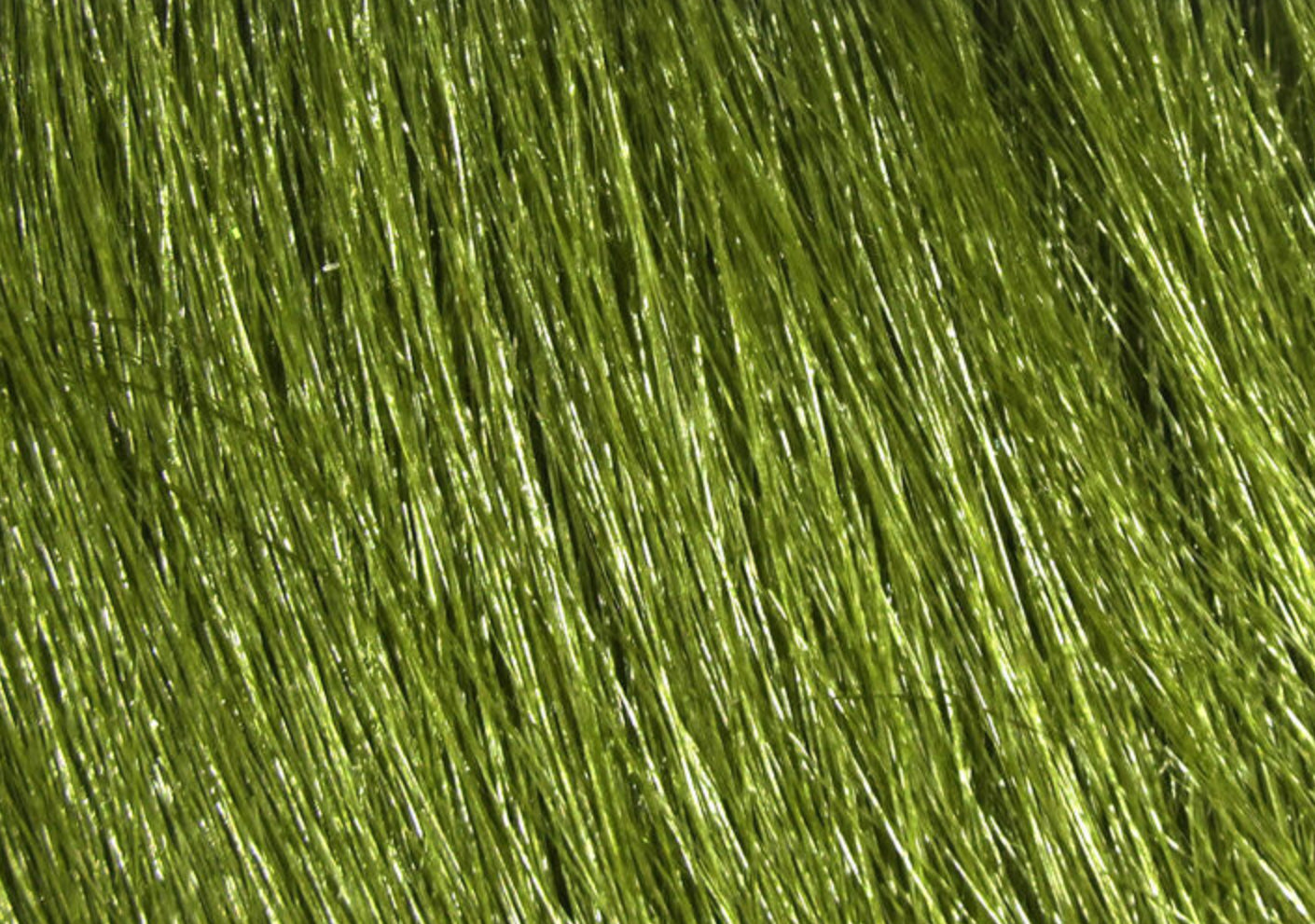 Extra Select Craft Fur