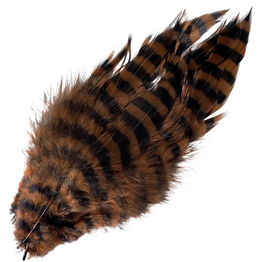 Barred Schlappen