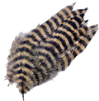 Barred Schlappen