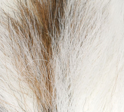 Petit Bucktail