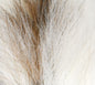 Petit Bucktail