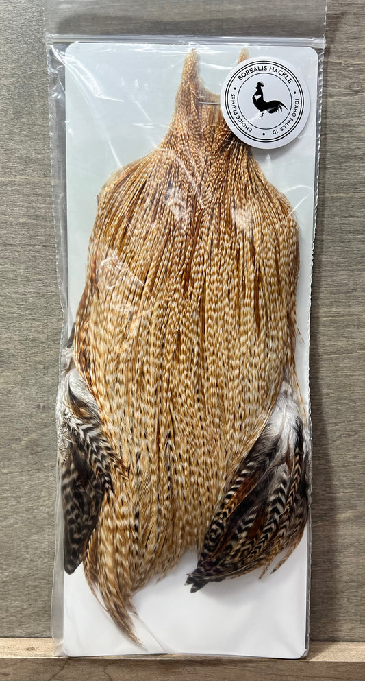 Borealis Hackle - Full Cape Grade 1