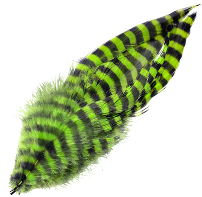Barred Schlappen