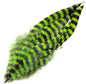 Barred Schlappen