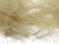Cul De Canard 1 Gram Pack